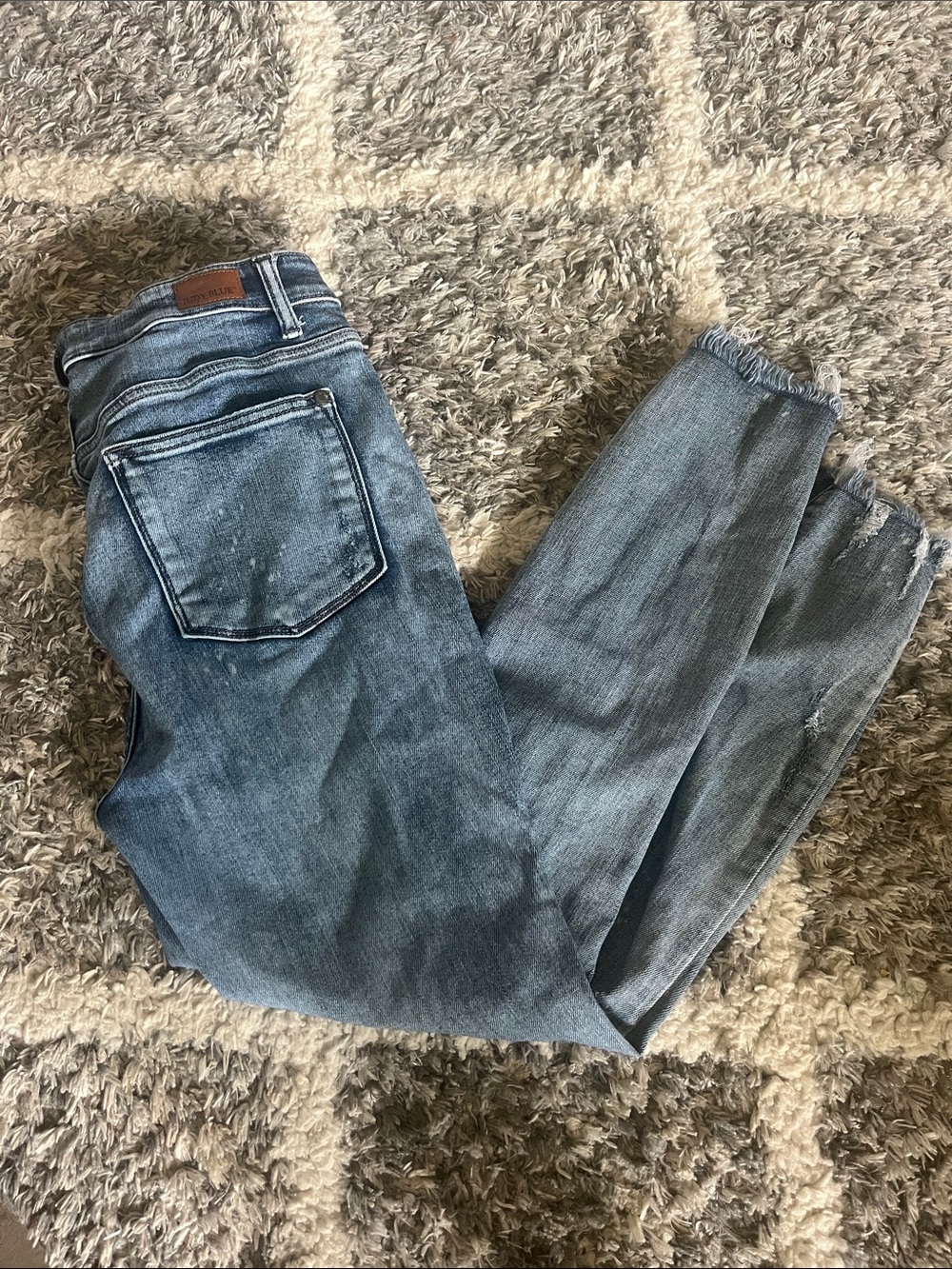 Judy Blue Skinny Jeans